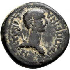 Diassarion - Agrippina Junior ΒΡΟΚΧΟΙ ΦΙΛΟΜΗΛΕΩΝ