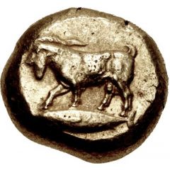 Stater