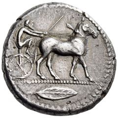 Tetradrachm - Anaxilas