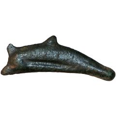 Dolphin