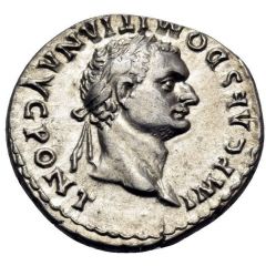 Denarius - Domitian P P COS VII DES VIII