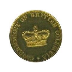 10 Dollars - Gold pattern