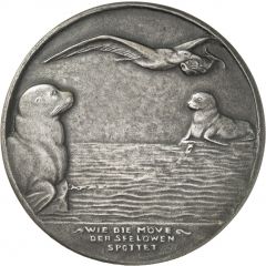 The seagull mocks the sea lion