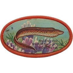 Token - Royal Desserts Fish #5 Moray Eel