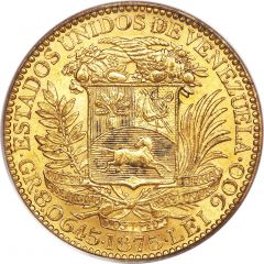 5 Venezolanos