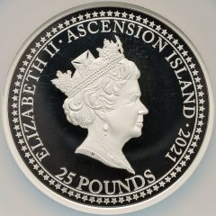 25 Pounds - Elizabeth II Bonomi Pattern - Britannia