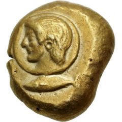 Stater