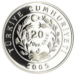 20 New Lira Edirne Selimiye Mosque