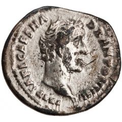 Denarius - Antoninus Pius AVG PIVS P M TR P COS II