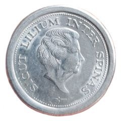 Medal - Abdication of Queen Juliana