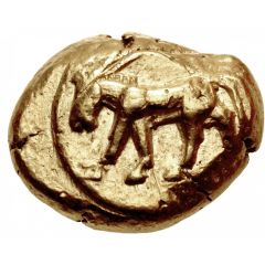 Stater