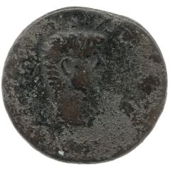 Æ30 - Tiberius DRVSVS CAESAR HIPPONE LIBERA