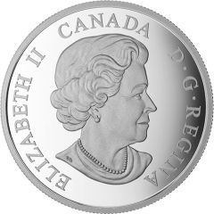 20 Dollars - Elizabeth II Birch Leaves