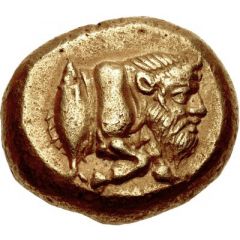 Stater