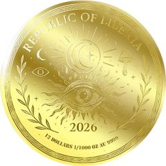 12 Dollars Magic Mushroom