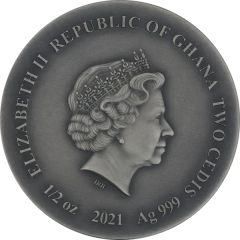 2 Cedis Common kestrel