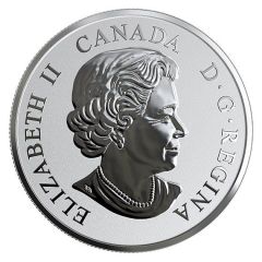 20 Dollars - Elizabeth II Bald Eagle