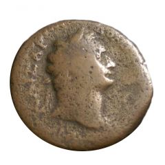 Diobol - Domitianus Alexandria