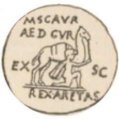 Denarius - Aretas IV IMP CAES TRAIAN AVG GER DAC P P REST P HYPSAE AED CVR C HYPSAE COS PREIVE CAPTV, Jupiter