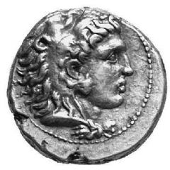 Drachm - Seleukos I Nikator