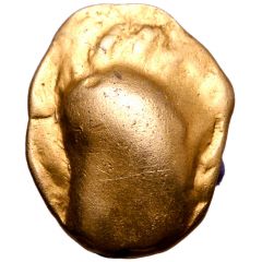 1/3 Stater Muschel Type