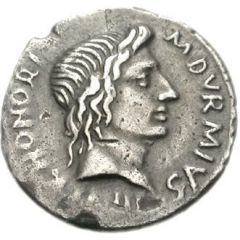 Denarius CAESAR AVGVSTVS S C, Honos