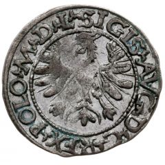 1/2 Groat - Sigismund II Augustus Tykocin mint