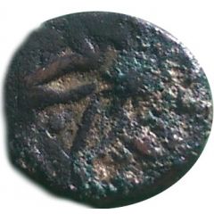 Manghir - Anonymous attributed to Bayezid II, Tire, with star-shaped flower