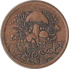 Fungible Token Decision Maker Coin