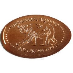 Blijdorp Zoo - Polar bear