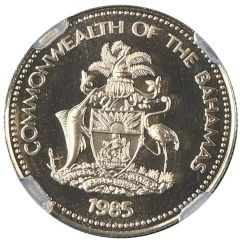 50 Dollars Santa Maria