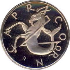Zodiac Signs Capricorn
