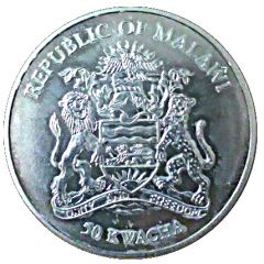 50 Kwacha Springbok