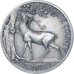 Award Berkshire County Council