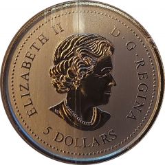 5 Dollars - Elizabeth II Canadian Forces Snowbirds
