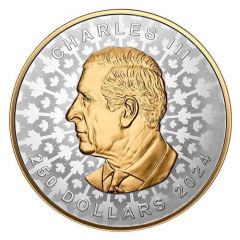 250 Dollars - Charles III Super Incuse Silver Maple Leaf
