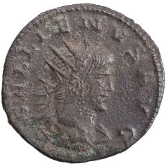 Antoninianus - Gallienus SALVS AVG, Apollo