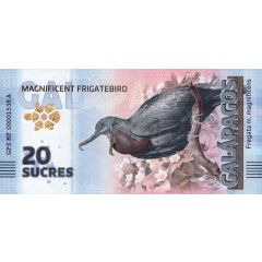 20 Sucres - Magnificent Frigatebird