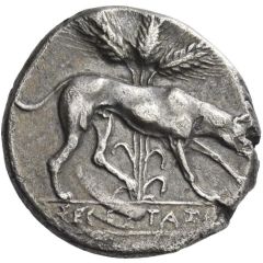 Didrachm