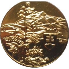 Token - Eagle