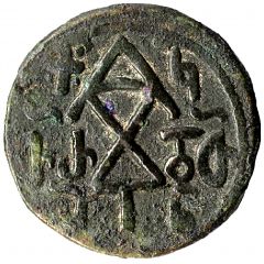 Regular AE - Tamar I