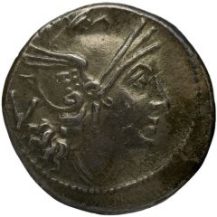 Quinarius Anonymous, ROMA