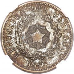 1 Peso Silvered-Bronze Pattern