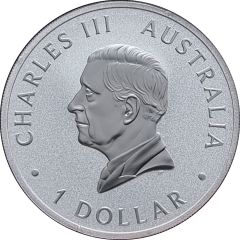 1 Dollar Charles III 1st Portrait - Wombat - Silver Bullion Coin; Coloured
