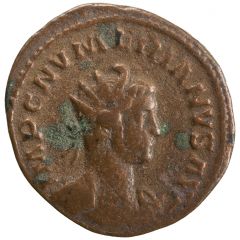 Antoninianus - Numerian PAX AVGG, Pax
