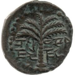 Small bronze - Eleazar the priest Year One