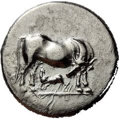 Stater