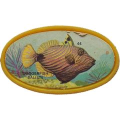 Token - Royal Desserts Fish #44 Triggerfish