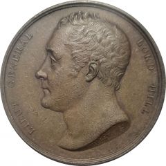 Medal - Lieutenant General Lord Hill, Battle of Almaraz
