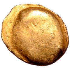 1/3 Stater Muschel Type